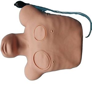 Pneumothorax Treatment Manikin